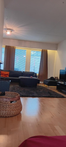 Private room in a spacious, cosy detached house in Vantaa, at Helsinki, border - Gallery - 18