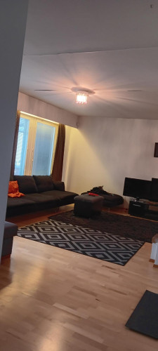 Private room in a spacious, cosy detached house in Vantaa, at Helsinki, border - Gallery - 23