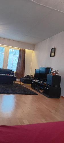 Private room in a spacious, cosy detached house in Vantaa, at Helsinki, border - Gallery - 19