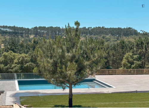Relaxing 1 Bedroom House in a complex with a pool close to São Sebastião Beach - Gallery - 10
