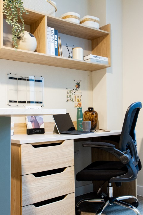 Standard Studio - 6