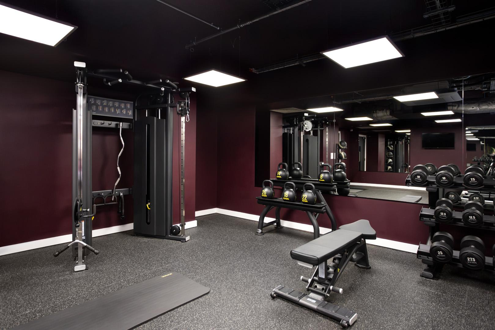 Premium Studio - 30