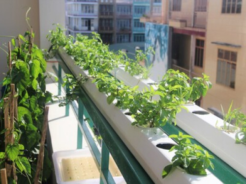 Winter Spring Homestay-Winter house - Gallery - 19