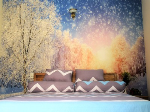 Winter Spring Homestay-Winter house