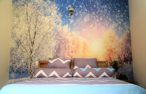 Winter Spring Homestay-Winter house
