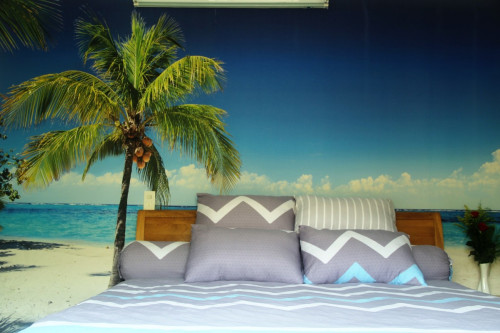Winter Spring Homestay-Winter house