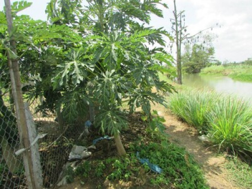 Be local while you stay !!!!!!!!!!!