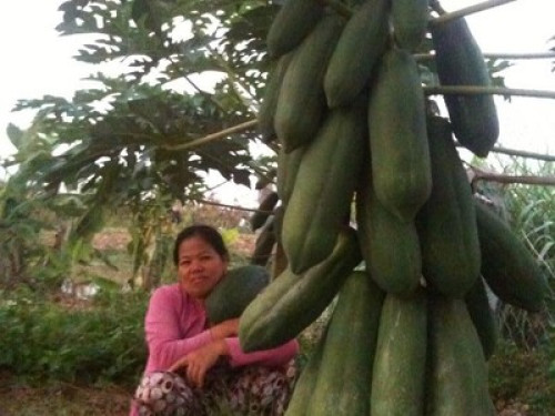 Be local while you stay !!!!!!!!!!!