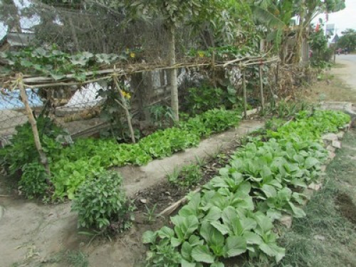 Be local while you stay !!!!!!!!!!!