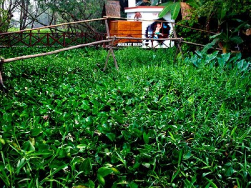 Happy Family Guesthouse - Gallery - 31