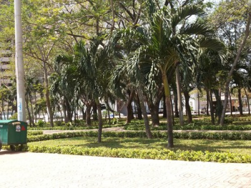 Pace's Homestay - Gallery - 5