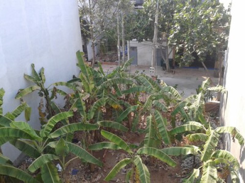 Pace's Homestay - Gallery - 15