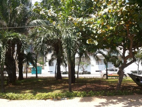 Pace's Homestay - Gallery - 8
