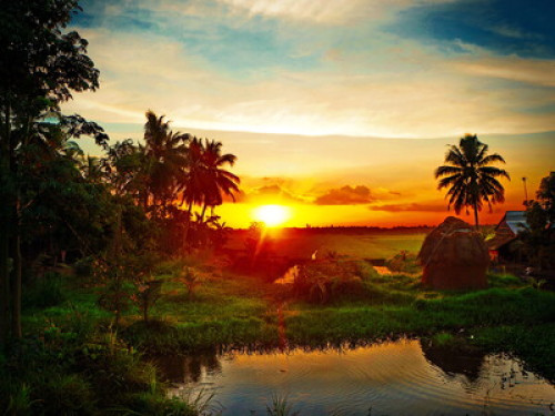 Relax and real life experience - Gallery - 19