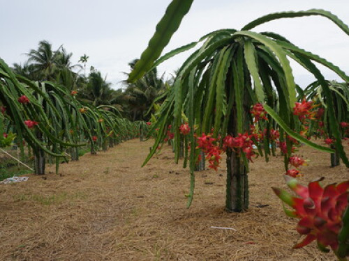 Relax and real life experience