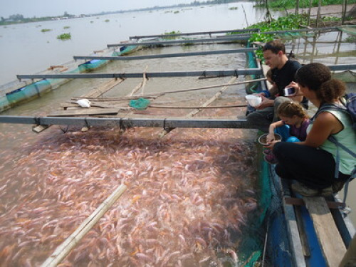 Happy Homestay - Gallery - 9