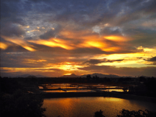 LaraHomestay Private Wild Beach