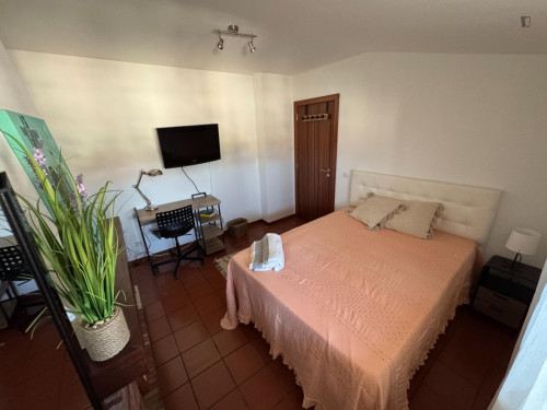 Double bedroom in a spacious duplex, right in the heart of Coimbra