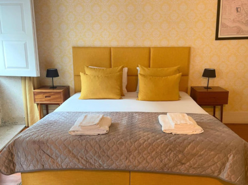 Cozy Studio close to Porto City Hall