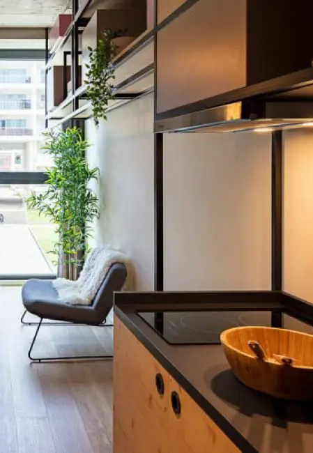  Classic Plus  -  Micampus Porto Asprela  - Gallery -  10