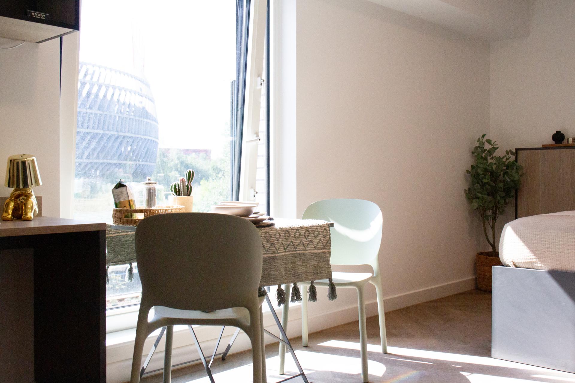  Deluxe Studio  -  Bridgeside  - Gallery -  4