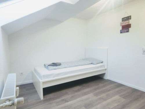 Cozy room in a student flatshare  - Gallery -  4
