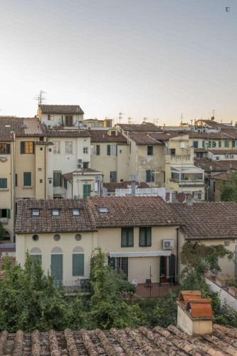 Attractive and big studio near Università di Firenze