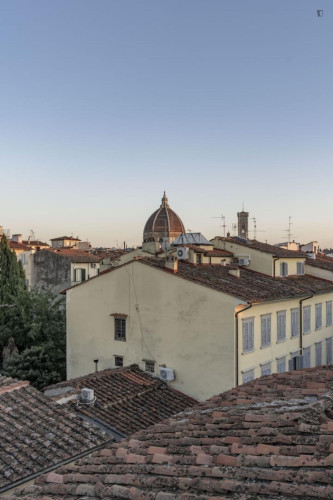 Attractive and big studio near Università di Firenze  - Gallery -  5