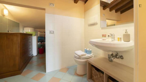 Attractive and big studio near Università di Firenze