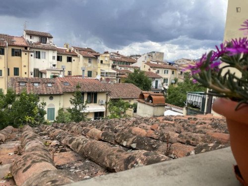 Attractive and big studio near Università di Firenze