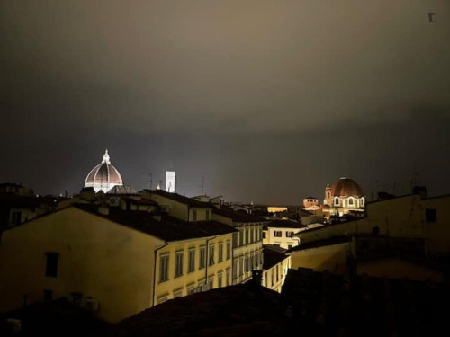 Attractive and big studio near Università di Firenze