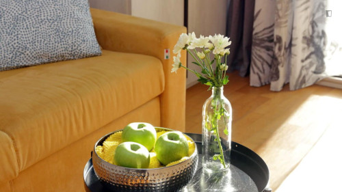 Colourful 1-bedroom apartment in Collatino