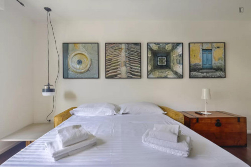 Harmonious studio in Florence