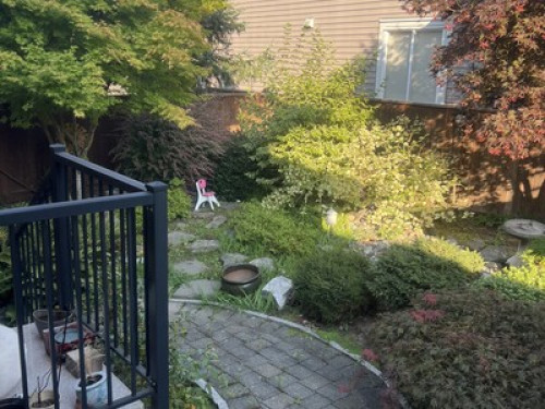 Looking for home stay   - Gallery -  5