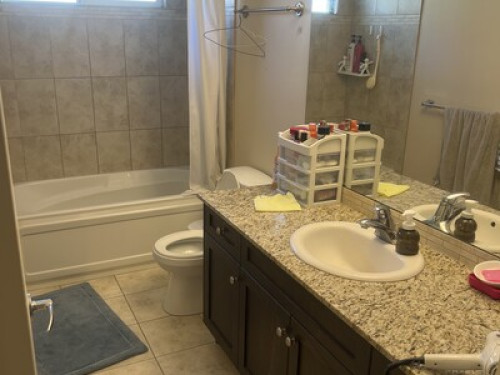 Looking for home stay  - Gallery - 7