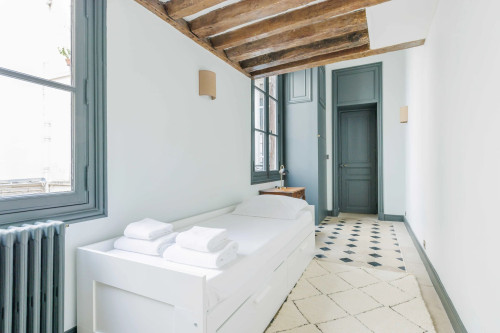 Superb flat near Notre-Dame Cathedral