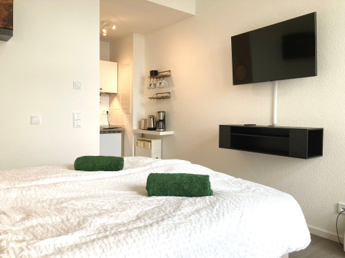 Studio near Cologne | Parking | Private entry - Gallery - 24