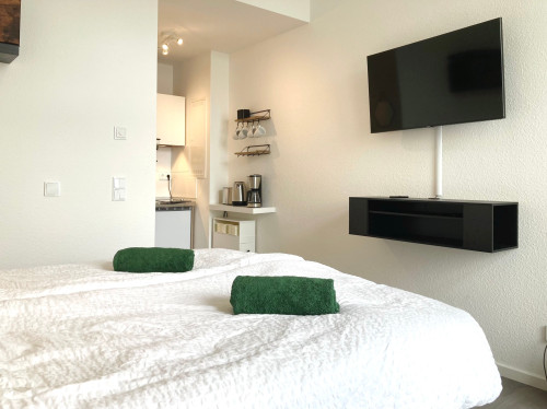 Modern Studio | Private Entrance | Parking Included - Gallery - 9