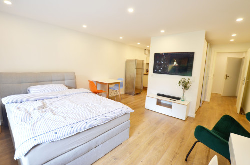 Modern fully equipped flat near Telekom Campus