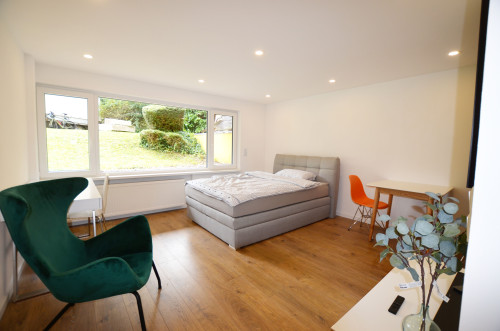 Modern fully equipped flat near Telekom Campus