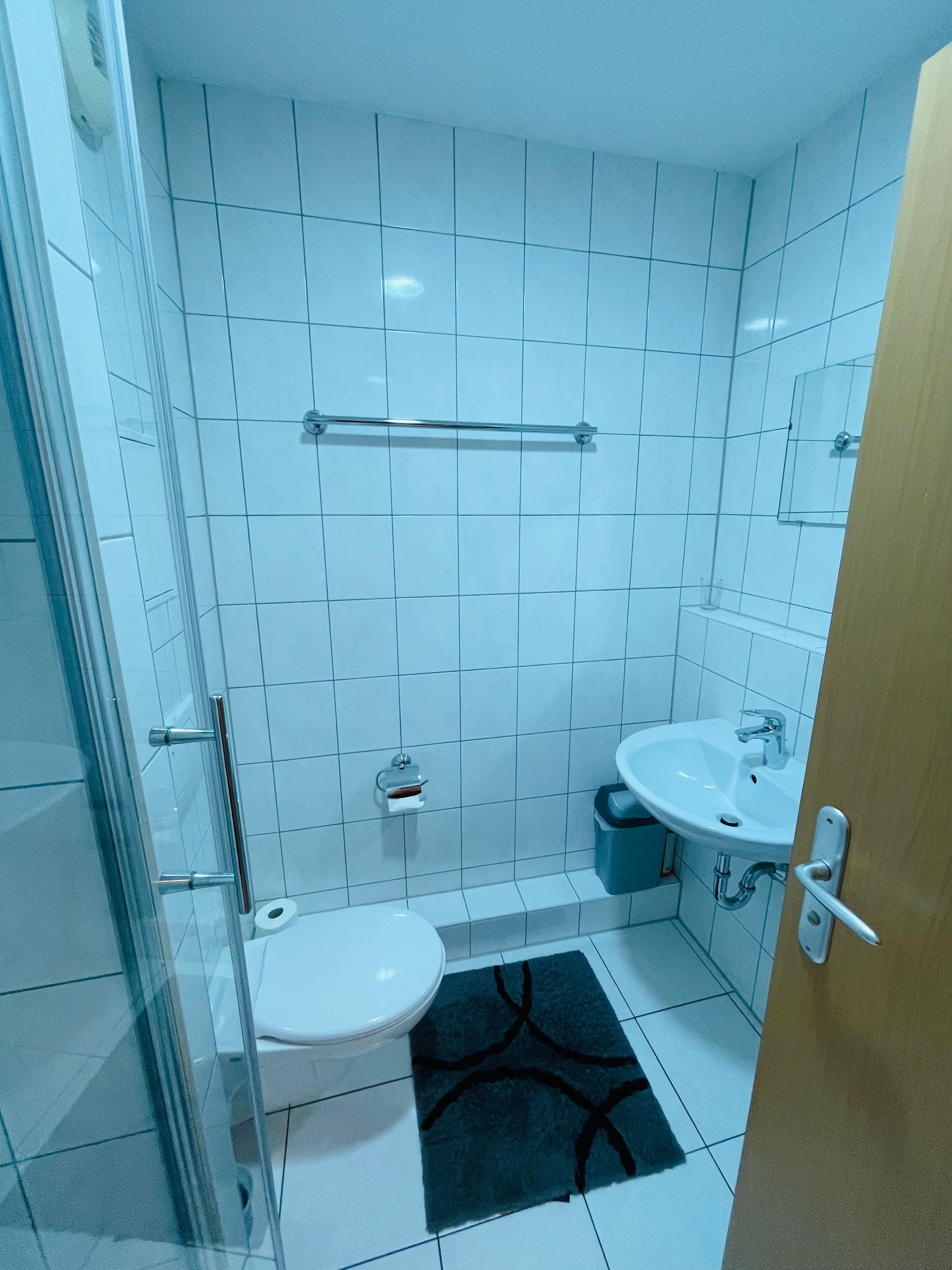Pretty Flat In Mainz - 4