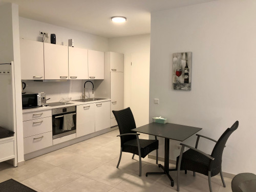 Top New & Business Apartment