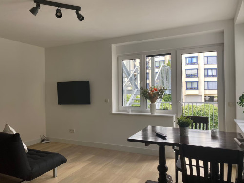 Spacious and quiet Apartment, Essen