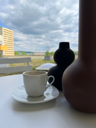 Modern, Fully Equipped Studio Apartment with Terrace on Trier’s Petrisberg