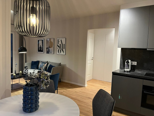 Chic Open-Plan 2-Room Apartment with Designer Kitchen next to Sanssouci Park in Potsdam - Gallery - 18