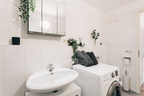 New, beautiful apartment in Dresden