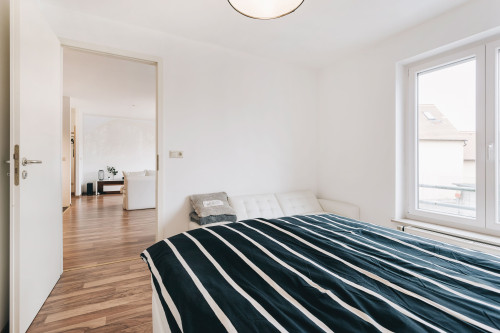 New, beautiful apartment in Dresden - Gallery - 9