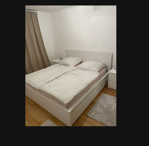 Fantastic flat in Braunschweig - Gallery - 8