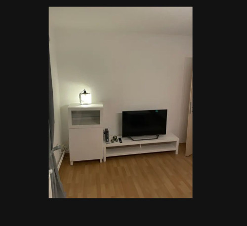 Fantastic flat in Braunschweig - Gallery - 11