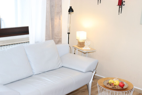 Fashionable, amazing flat in Mainz - Gallery - 17